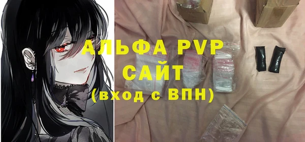 ГАЛЛЮЦИНОГЕННЫЕ ГРИБЫ Дмитриев