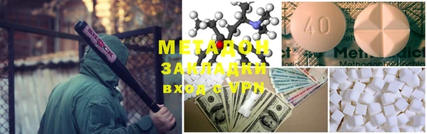 ГАЛЛЮЦИНОГЕННЫЕ ГРИБЫ Дмитриев