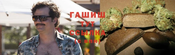 ГАЛЛЮЦИНОГЕННЫЕ ГРИБЫ Дмитриев