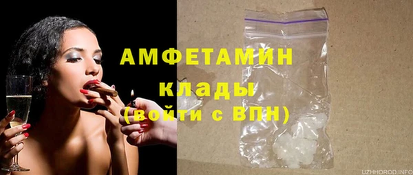 ГАЛЛЮЦИНОГЕННЫЕ ГРИБЫ Дмитриев