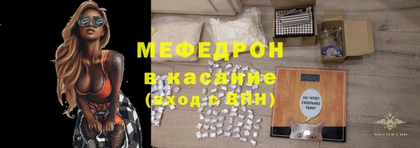 ГАЛЛЮЦИНОГЕННЫЕ ГРИБЫ Дмитриев