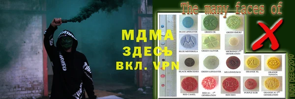 ГАЛЛЮЦИНОГЕННЫЕ ГРИБЫ Дмитриев