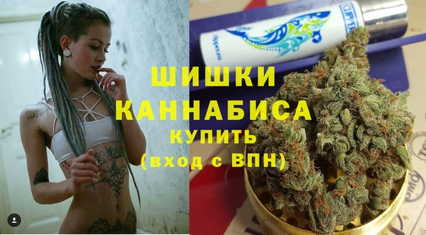 ГАЛЛЮЦИНОГЕННЫЕ ГРИБЫ Дмитриев