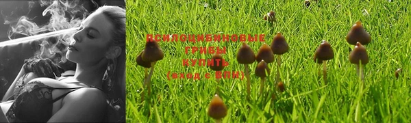 каннабис Дмитров