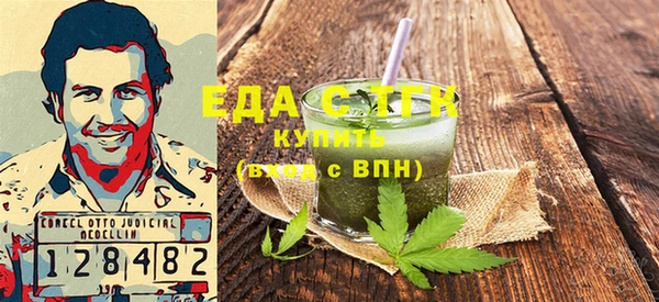 ГАЛЛЮЦИНОГЕННЫЕ ГРИБЫ Дмитриев