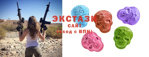 ГАЛЛЮЦИНОГЕННЫЕ ГРИБЫ Дмитриев