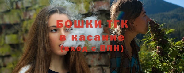 ГАЛЛЮЦИНОГЕННЫЕ ГРИБЫ Дмитриев