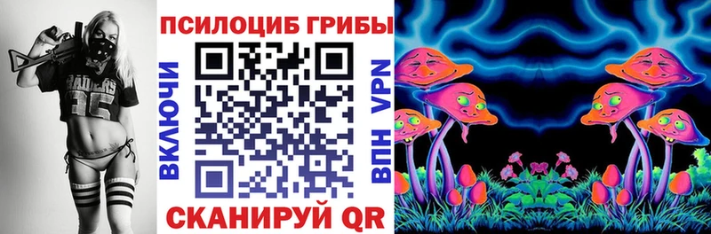 Псилоцибиновые грибы Psilocybe  Бородино 